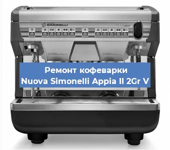 Чистка кофемашины Nuova Simonelli Appia II 2Gr V от накипи в Новосибирске